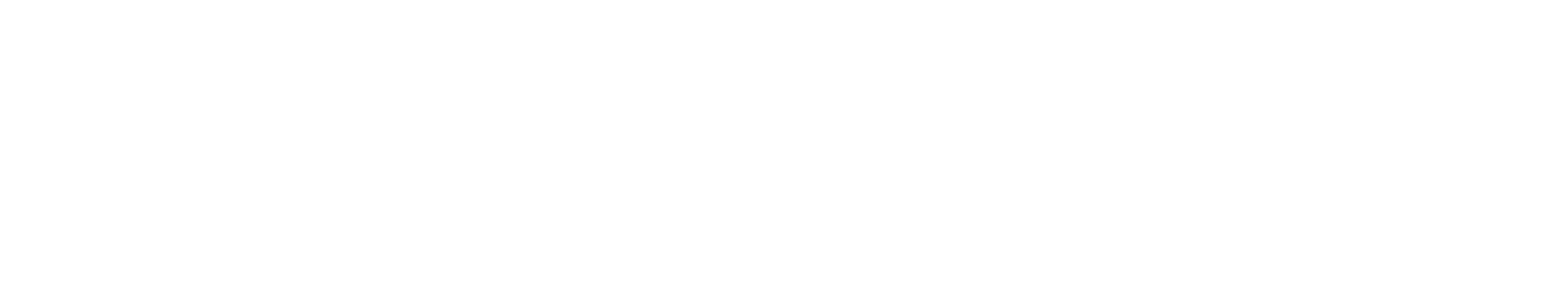 Simon Frank Consulting